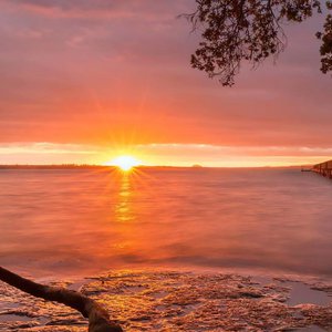 中文三级AV毛片
